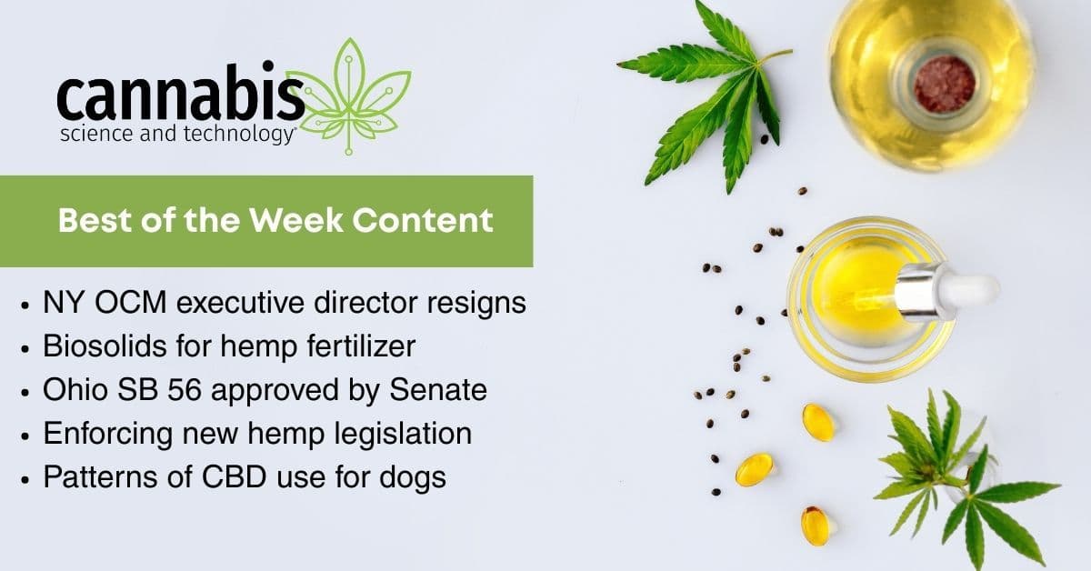 Key Developments in Cannabis: Leadership Changes, Legislative Moves, and Innovative Research