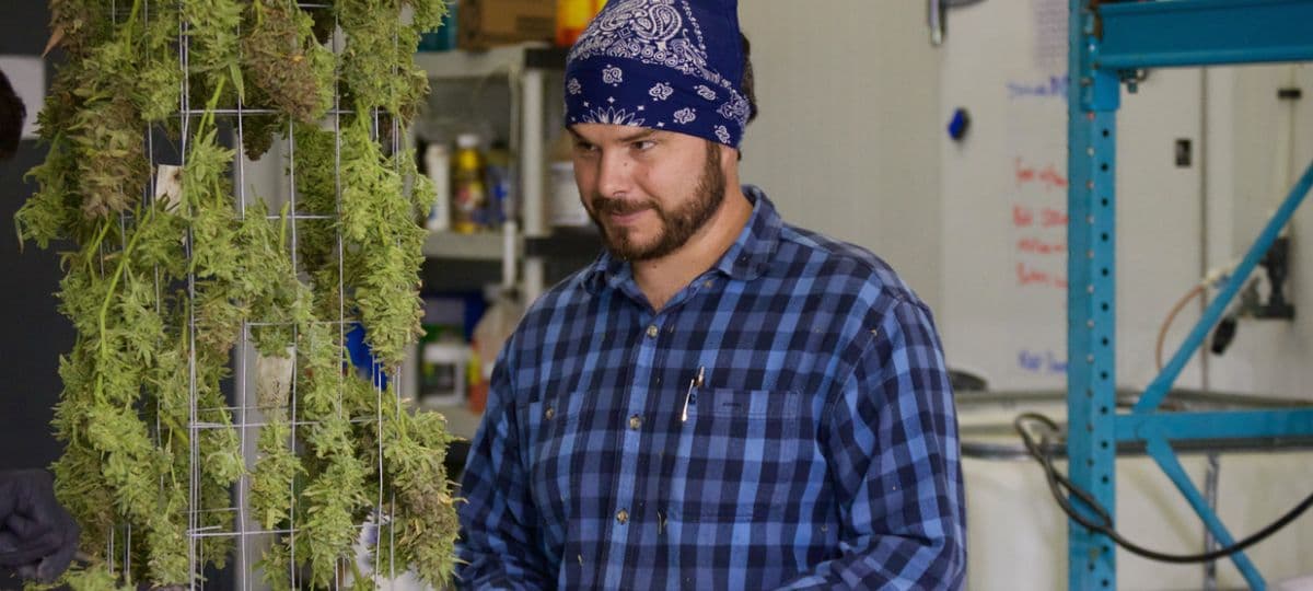 Veteran's Journey: From Battlefield to Cannabis Advocacy