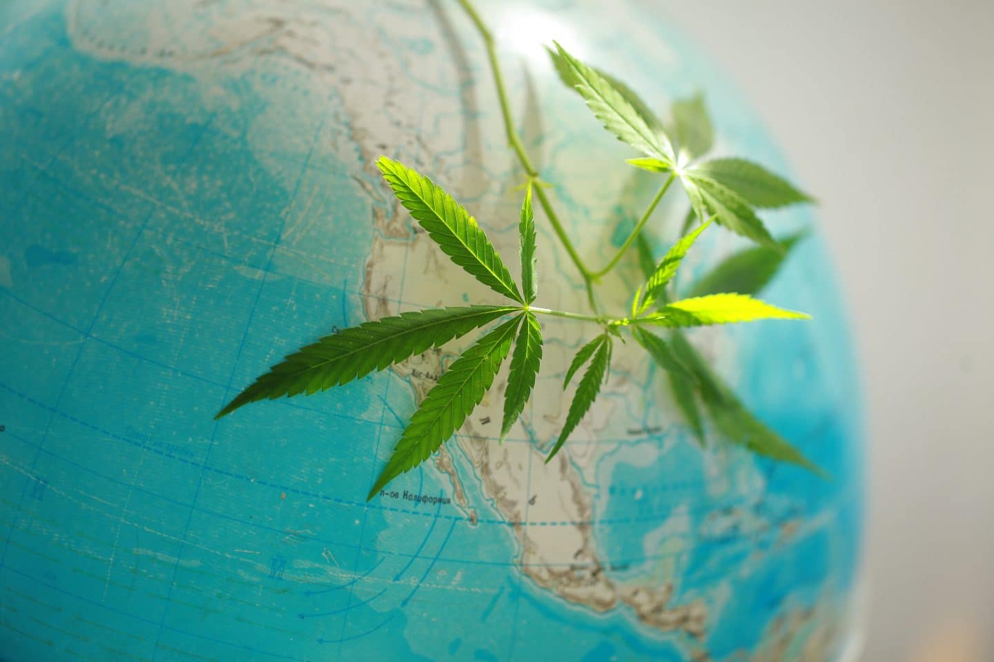 Global Cannabis Market Booms as U.S. Lags Behind in Legalization Efforts