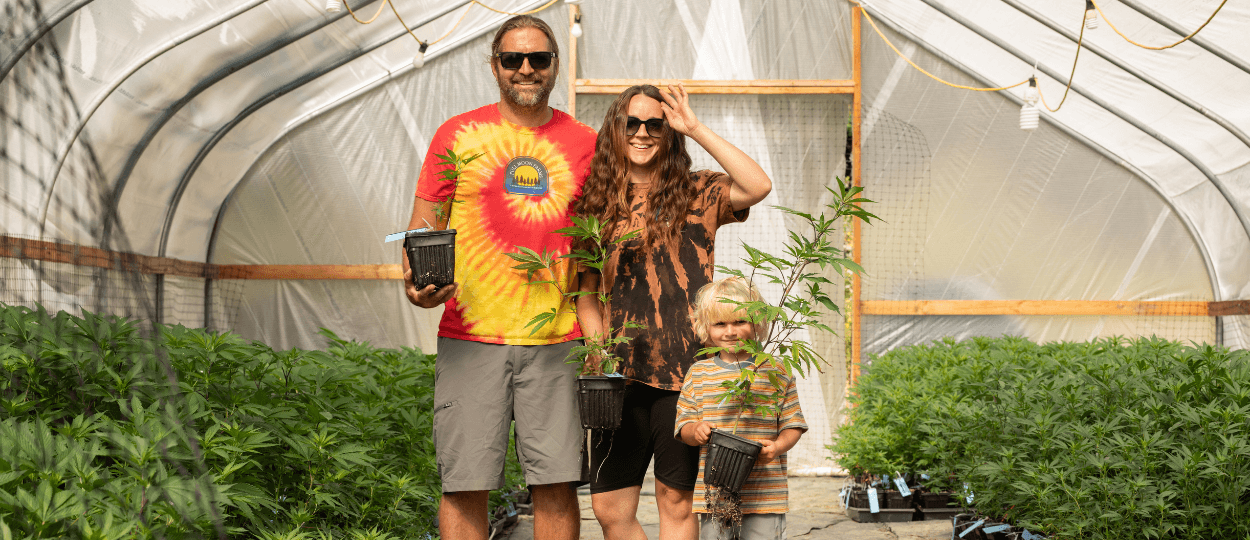 Sungrown Cannabis Farms in Northern California Adapt to Post-Green Rush Realities