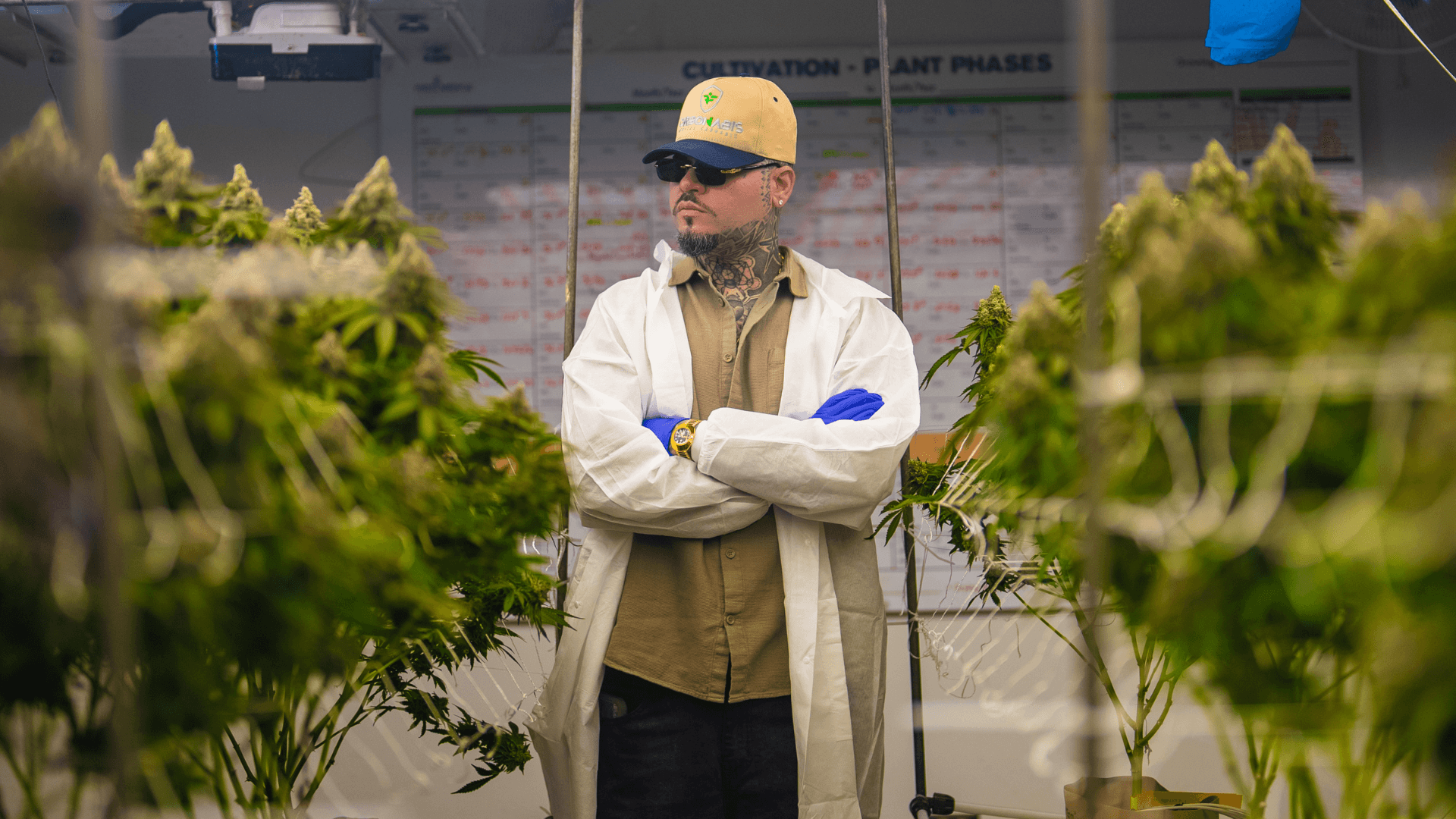 Latin Music Star Farruko Launches Carbonnabis to Champion Cannabis as Medicine and Social Change