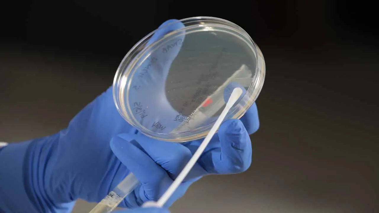 Massachusetts Authorities Criticize Cannabis Potency Oversight Amid Inflation Concerns