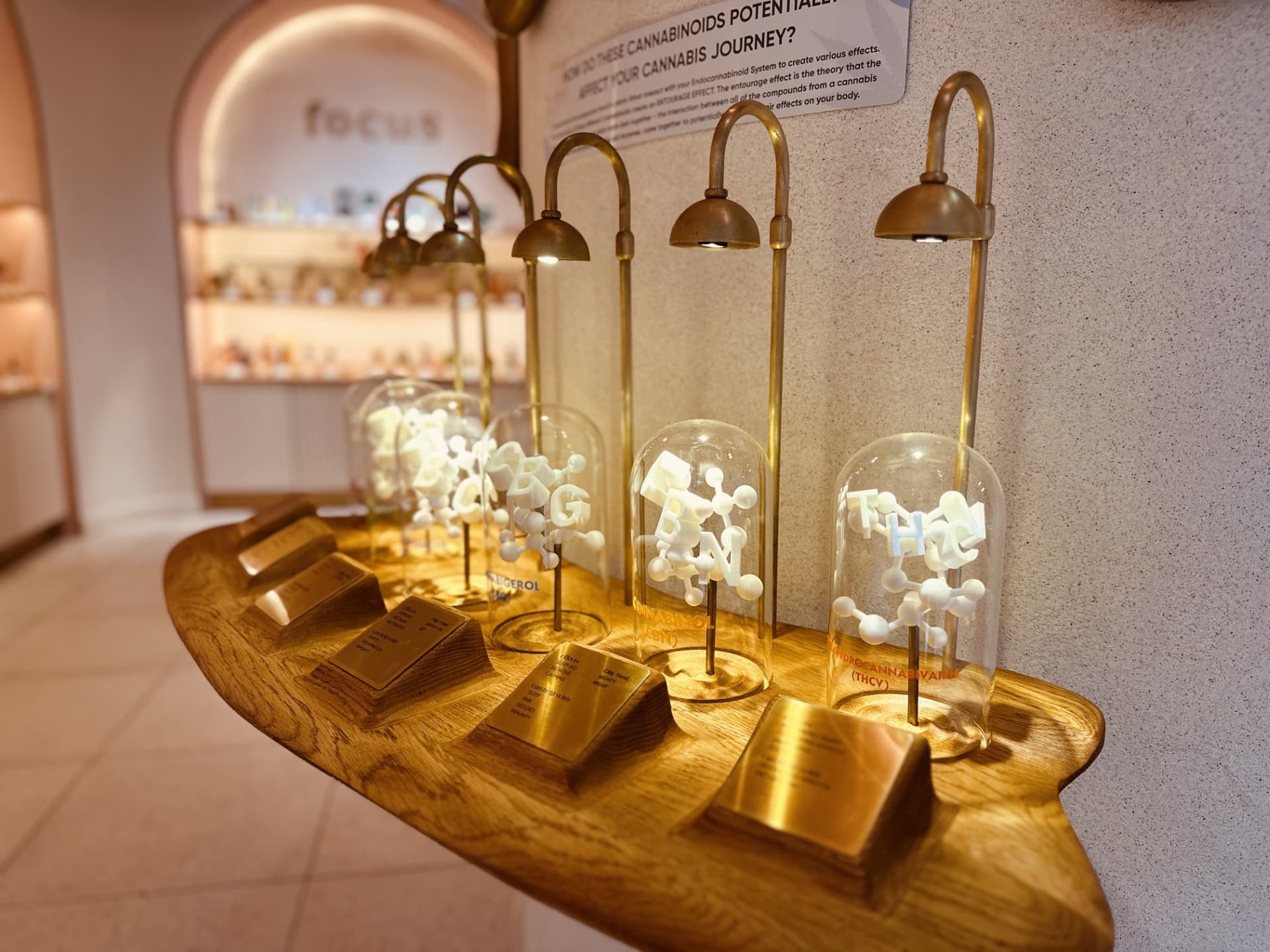 Functional THC: Shifting the Cannabis Industry Focus from Potency to Purpose