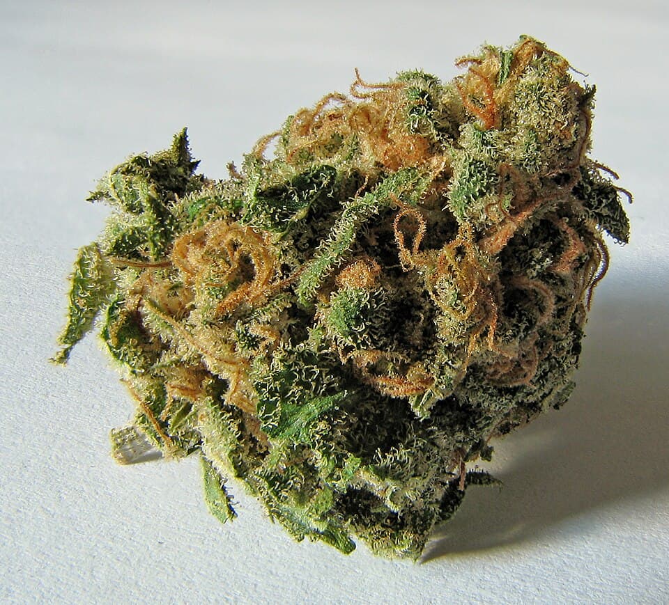 Candi Gas
