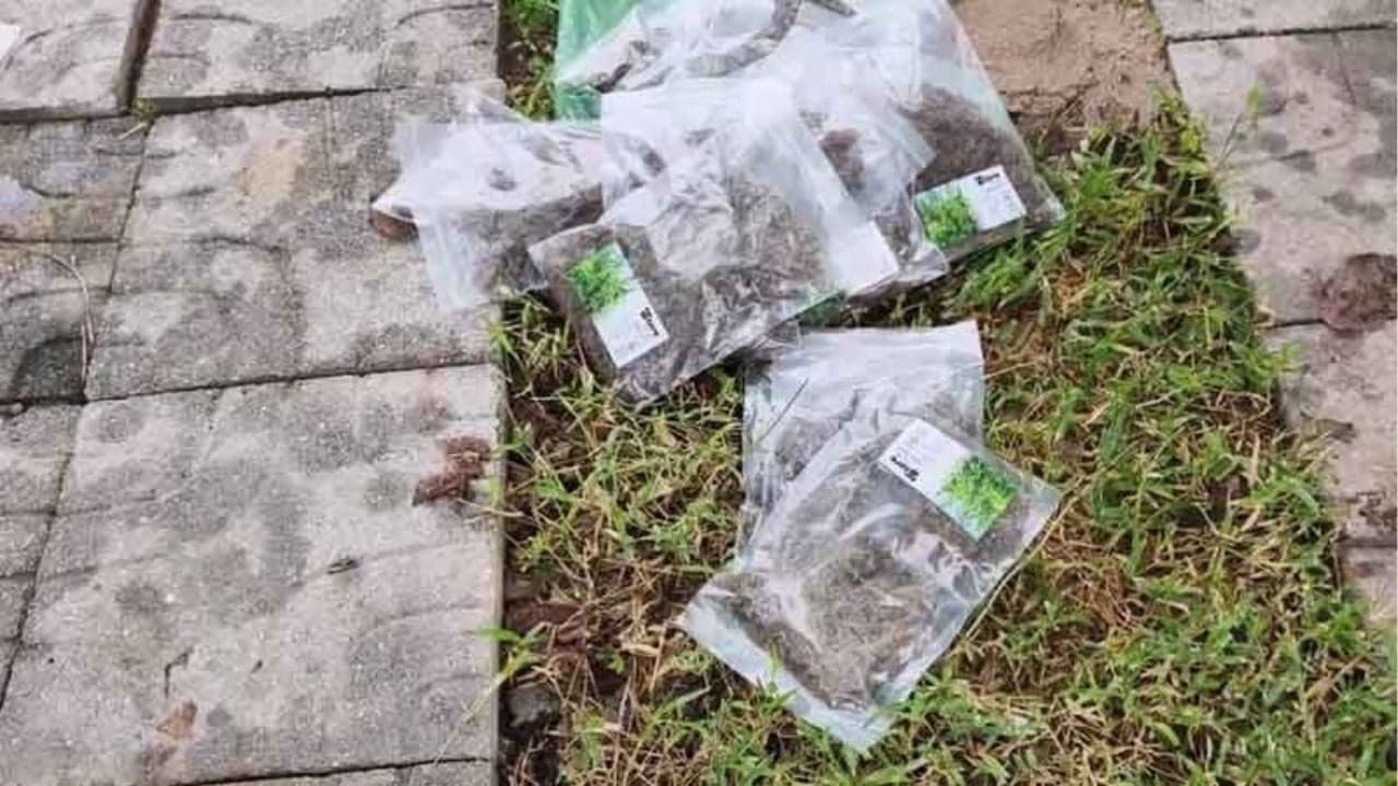 Police Investigate Mysterious Cannabis Dump in Udon Thani
