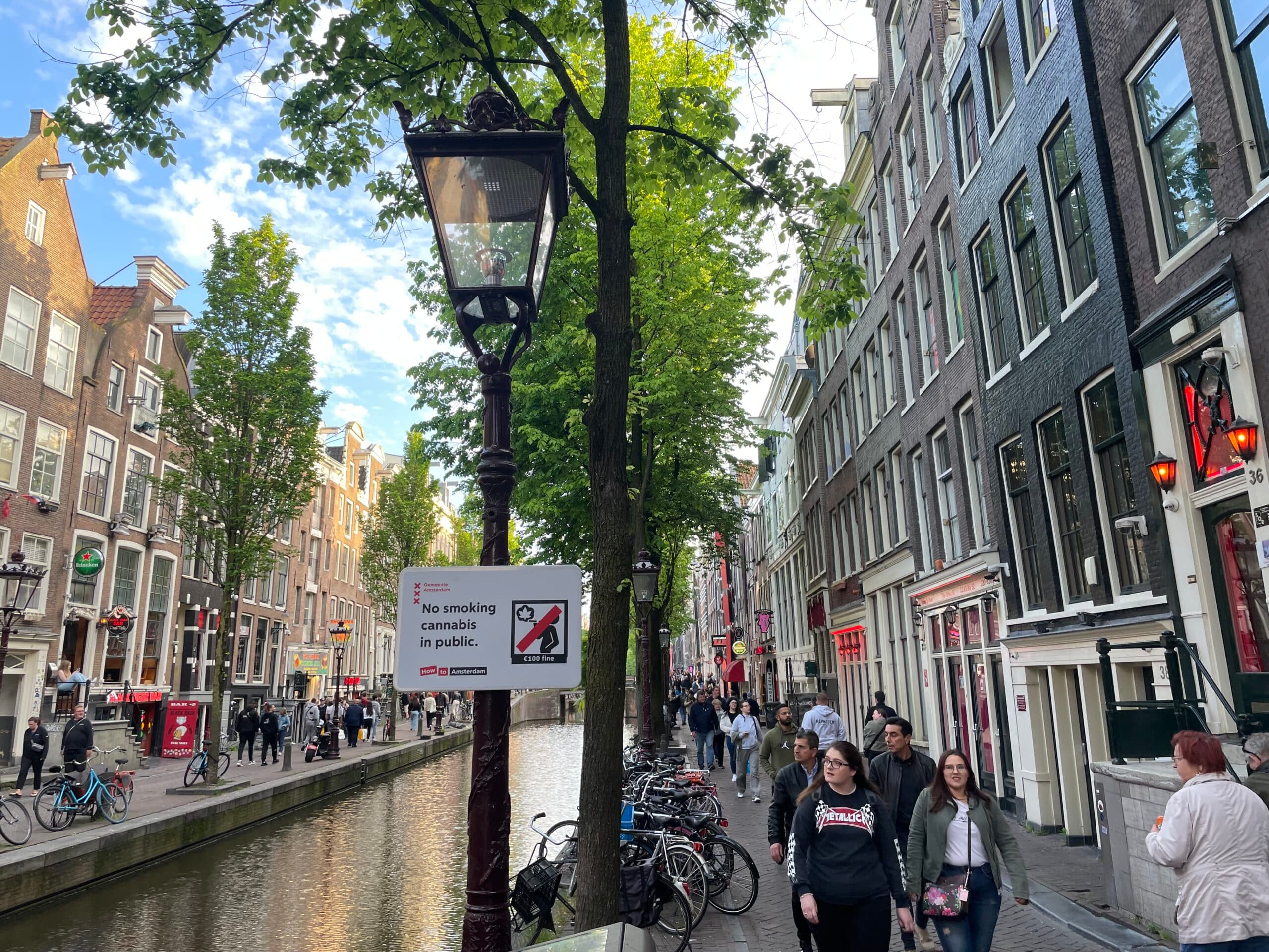 Dutch Study Finds Cannabis Users More Prone to Sleep and Mental Health Issues