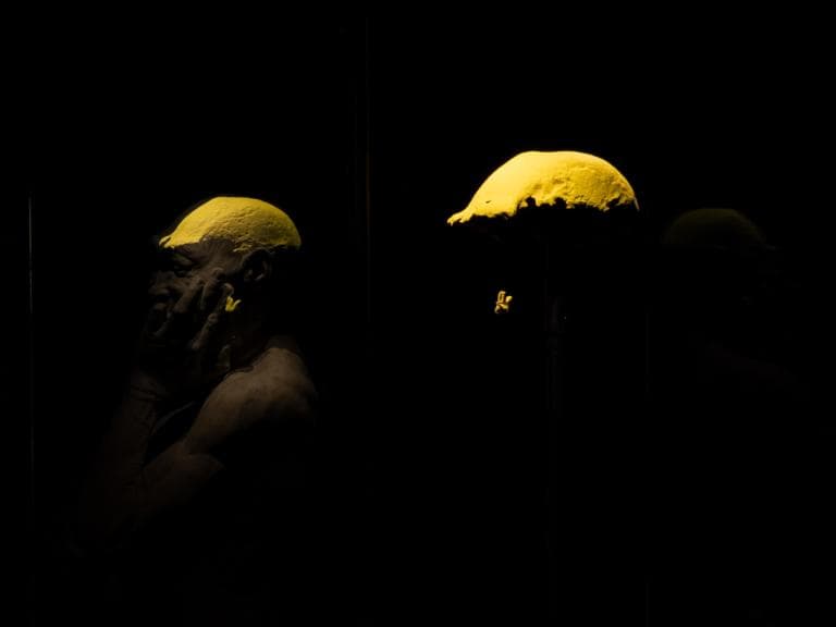 Netherlands Returns Significant Homo Erectus Fossils to Indonesia