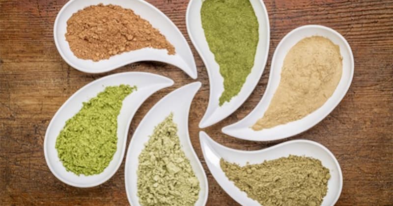 CBD Supplements Gain Popularity in France Amidst Evolving Cannabis Legislation