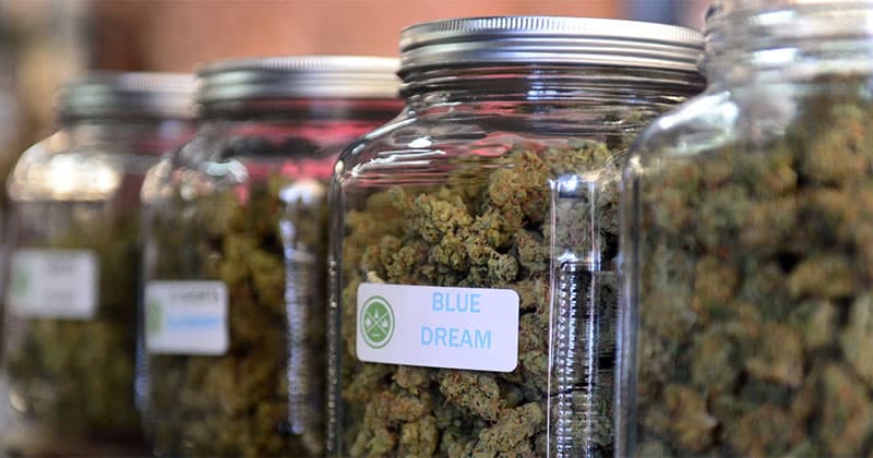 Denmark Launches Four-Year Medical Cannabis Pilot Program in 2018