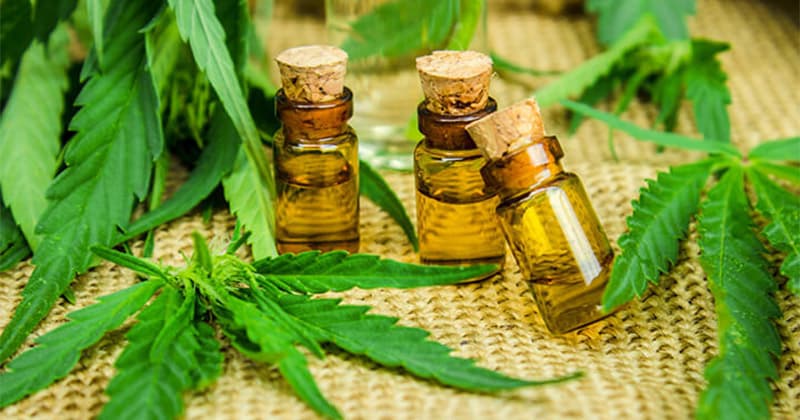 Cannabis Oil Emerges as a Versatile Remedy for Various Health Issues