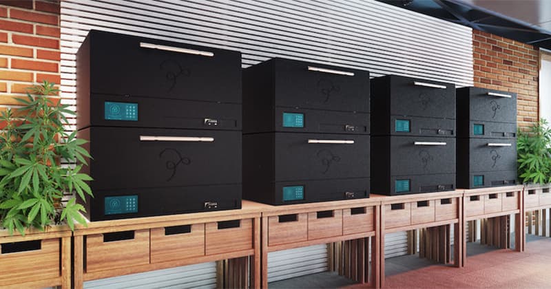 Yofumo Enhances Cannabis Drying Process with Advanced Technology