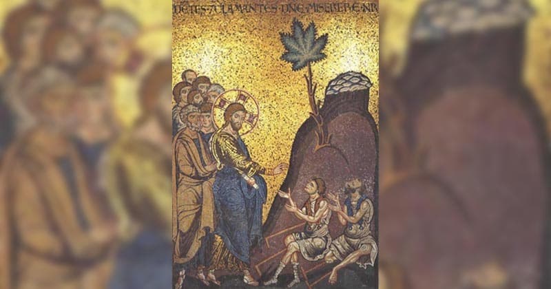 Theological Experts Suggest Cannabis Was Used in Jesus' Healing Rituals