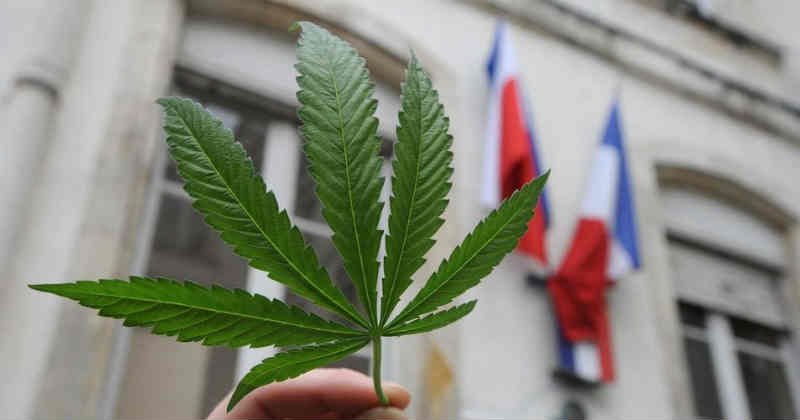 French Constitutional Council Upholds Cannabis Fine Amid Controversy