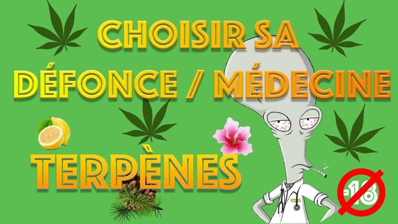 Dr GreenRoger Educates French Audience on Cannabis Terpenes