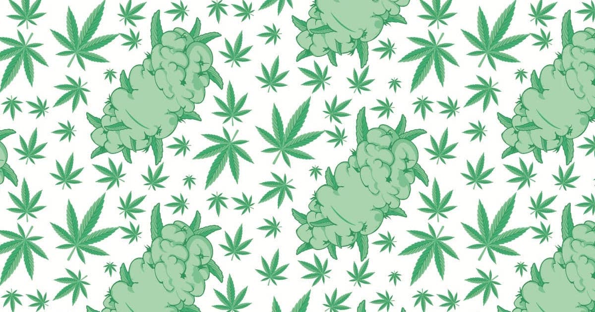 Top Cannabis Strains to Watch in 2021 Gain Popularity Across the U.S