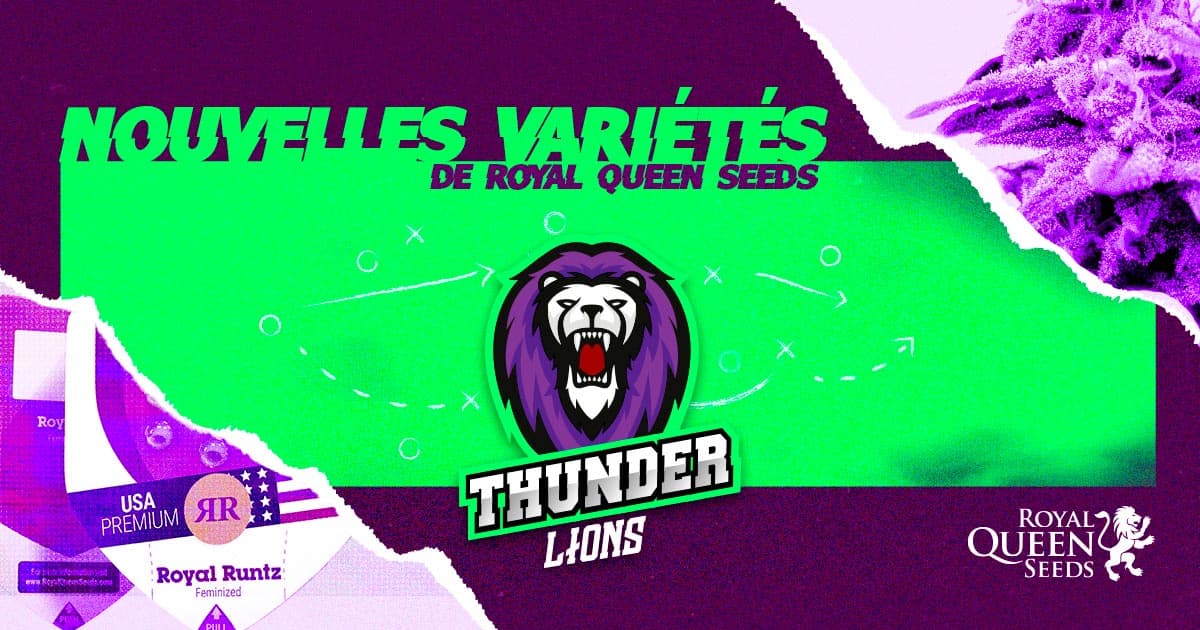 Royal Queen Seeds Introduces Innovative Cannabis Strains for 2021 Season