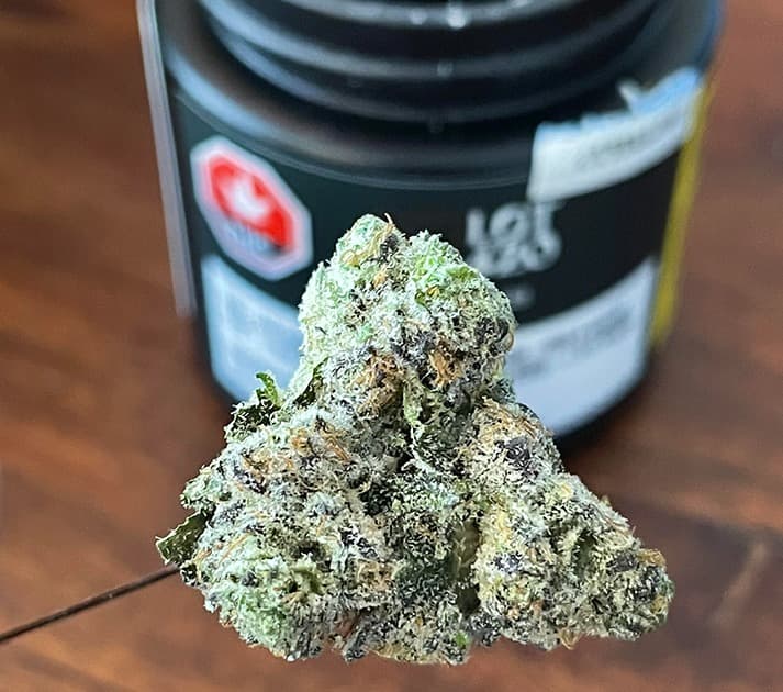 Quebec's Lot 420 Launches High-THC Gelato #33 Strain at SQDC