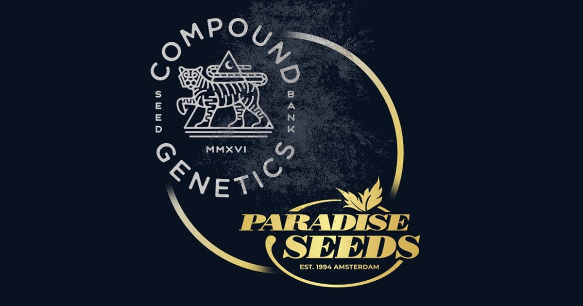 Paradise Seeds Partners with Compound Genetics to Launch New Cannabis Strains in Europe