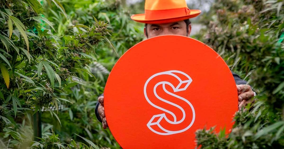 Silent Seeds and Sherbinski Launch Five New Cannabis Strains