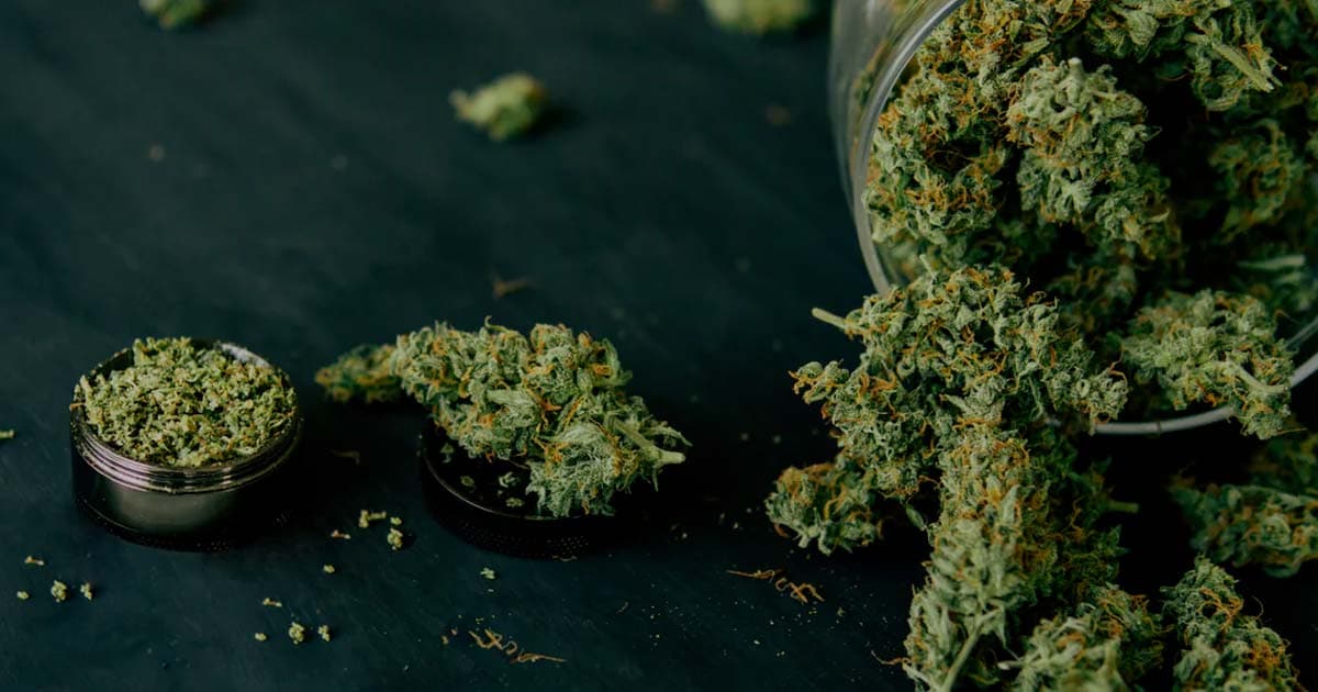 CBDGrossiste.fr Gains Recognition for High-Quality CBD Products in Europe