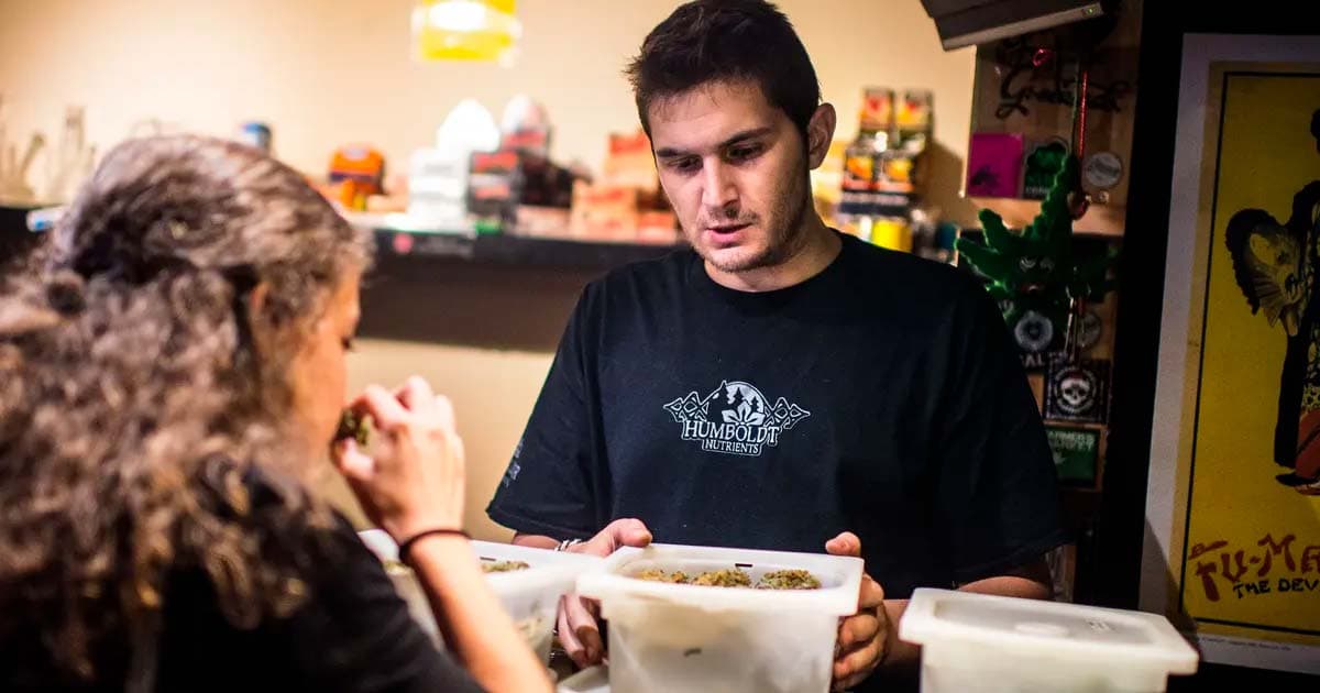 Long-Term Cannabis Use Found Not to Harm Health in Spanish Study