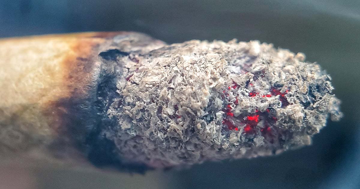 White Ashes Myth Debunked: Cannabis Quality Not Linked to Ash Color