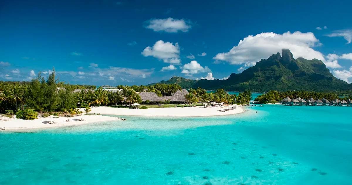 Polynesian Government Advances Cannabis Legislation with Strategic Discussions