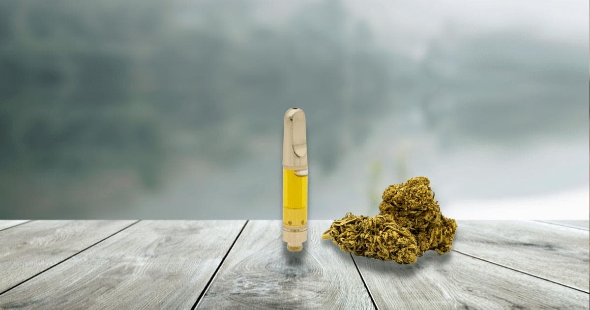 THCV Vape Shows Promise for Weight Loss by Suppressing Appetite and Boosting Metabolism