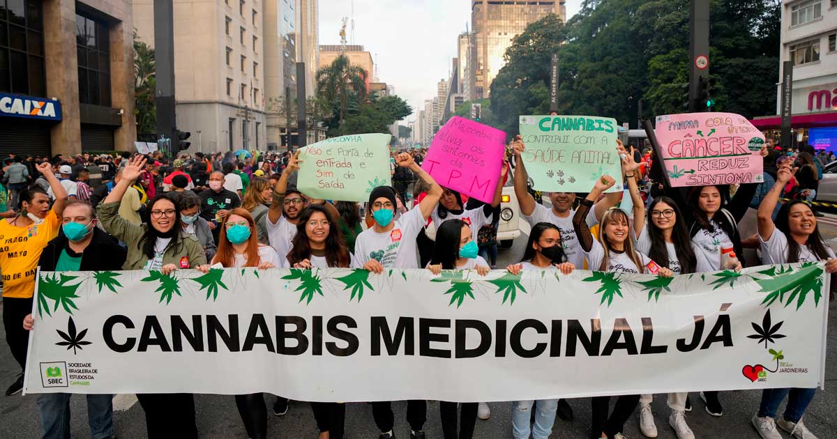 Brazil Moves to Regulate Medical Cannabis Cultivation to Reduce Imports