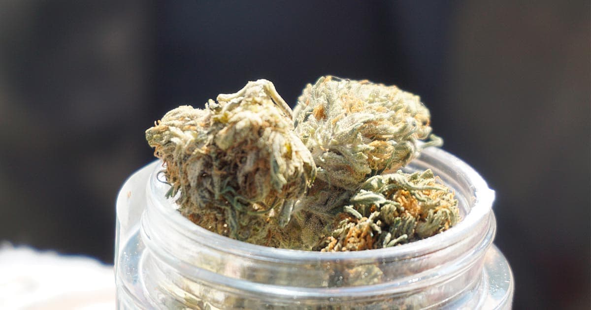 UK Court of Appeal Rules CBD Flowers Not Narcotics, Setting New Legal Precedent