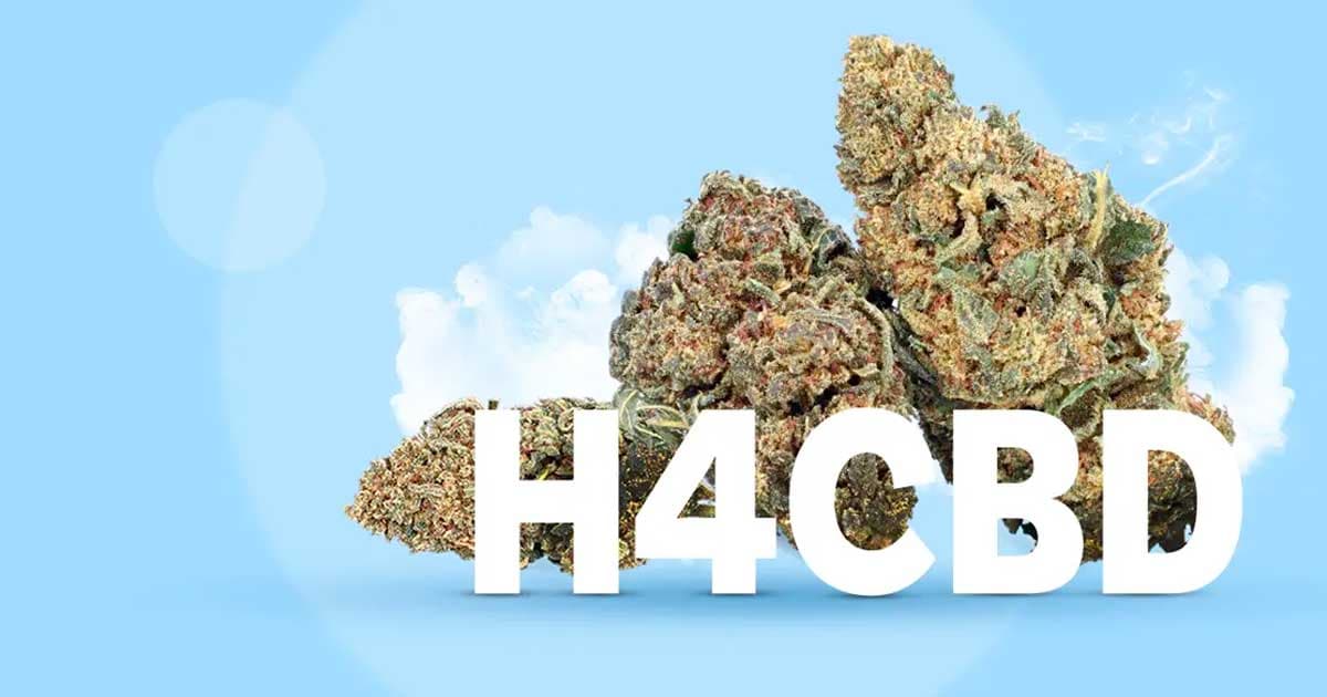 France Sees Rise of H4CBD Amidst Cannabis Legalization Stagnation