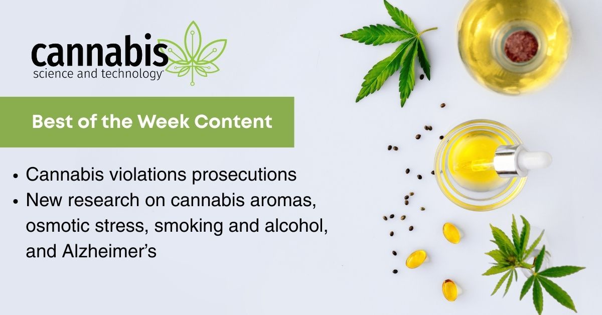 Cannabis Industry Faces New Regulatory Challenges and Research Innovations