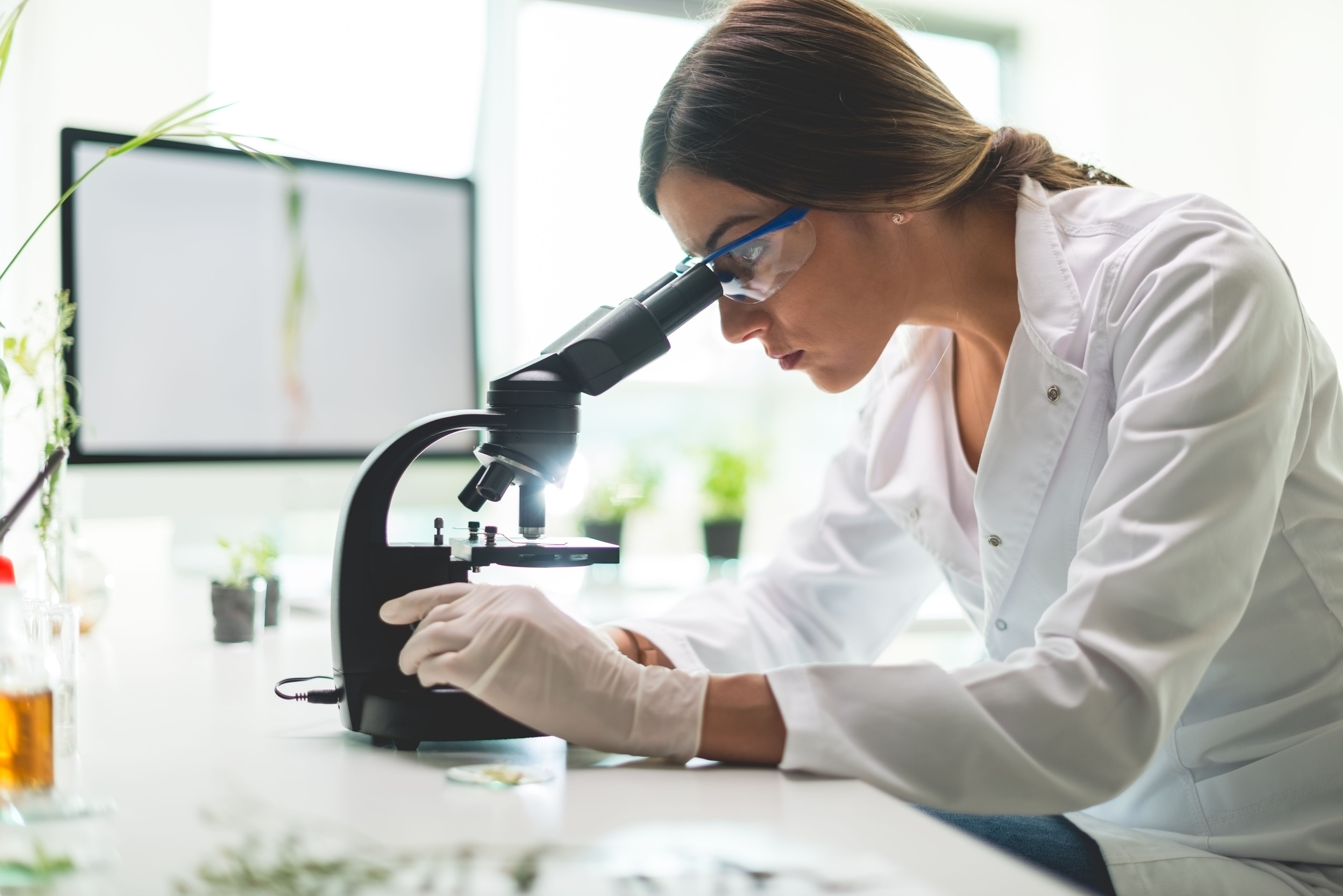 Cannabis Research in 2025 Highlights Innovations and Challenges