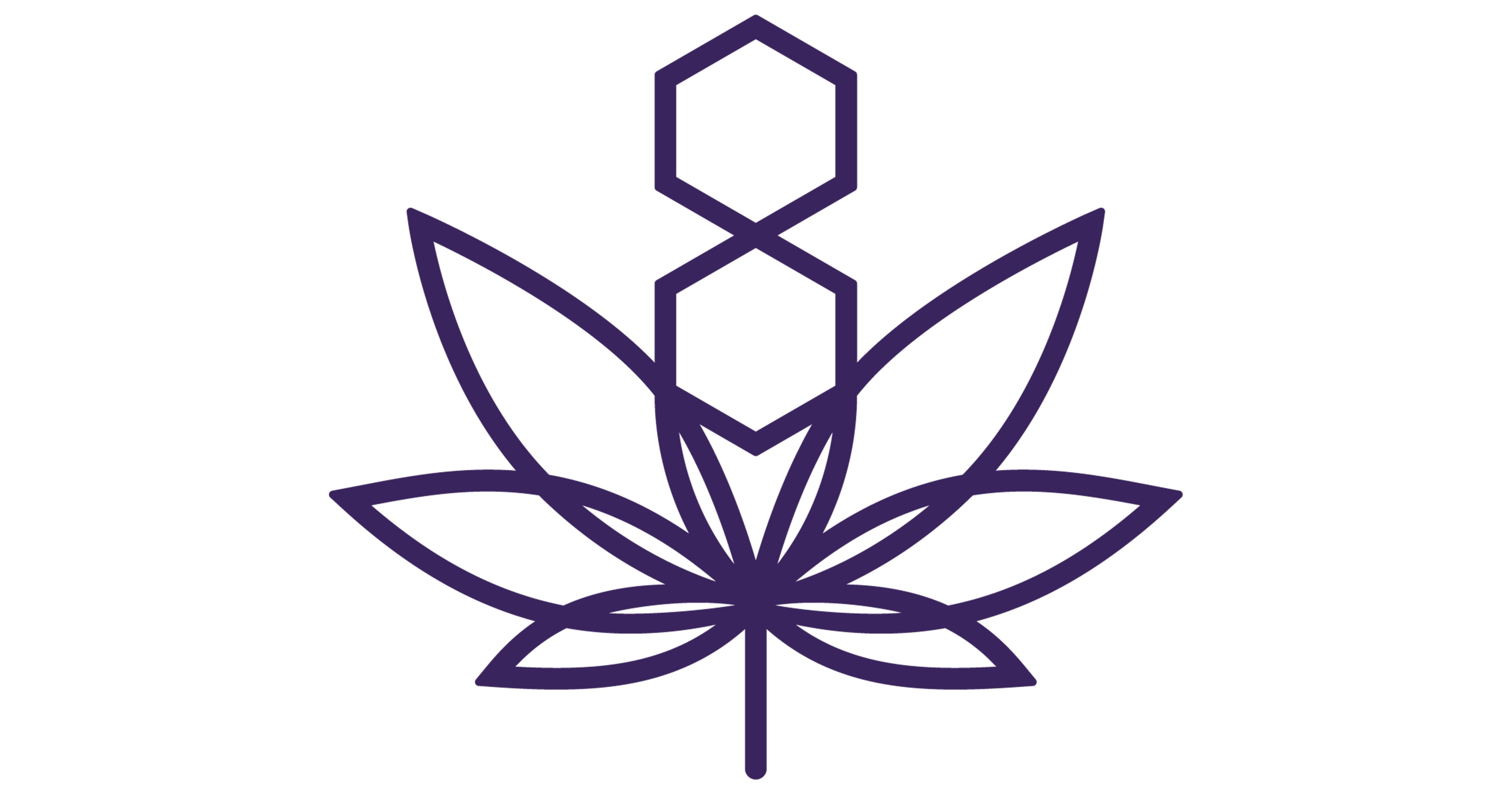 2025 Brings Major Shifts in Cannabis and Hemp Regulations Across the US