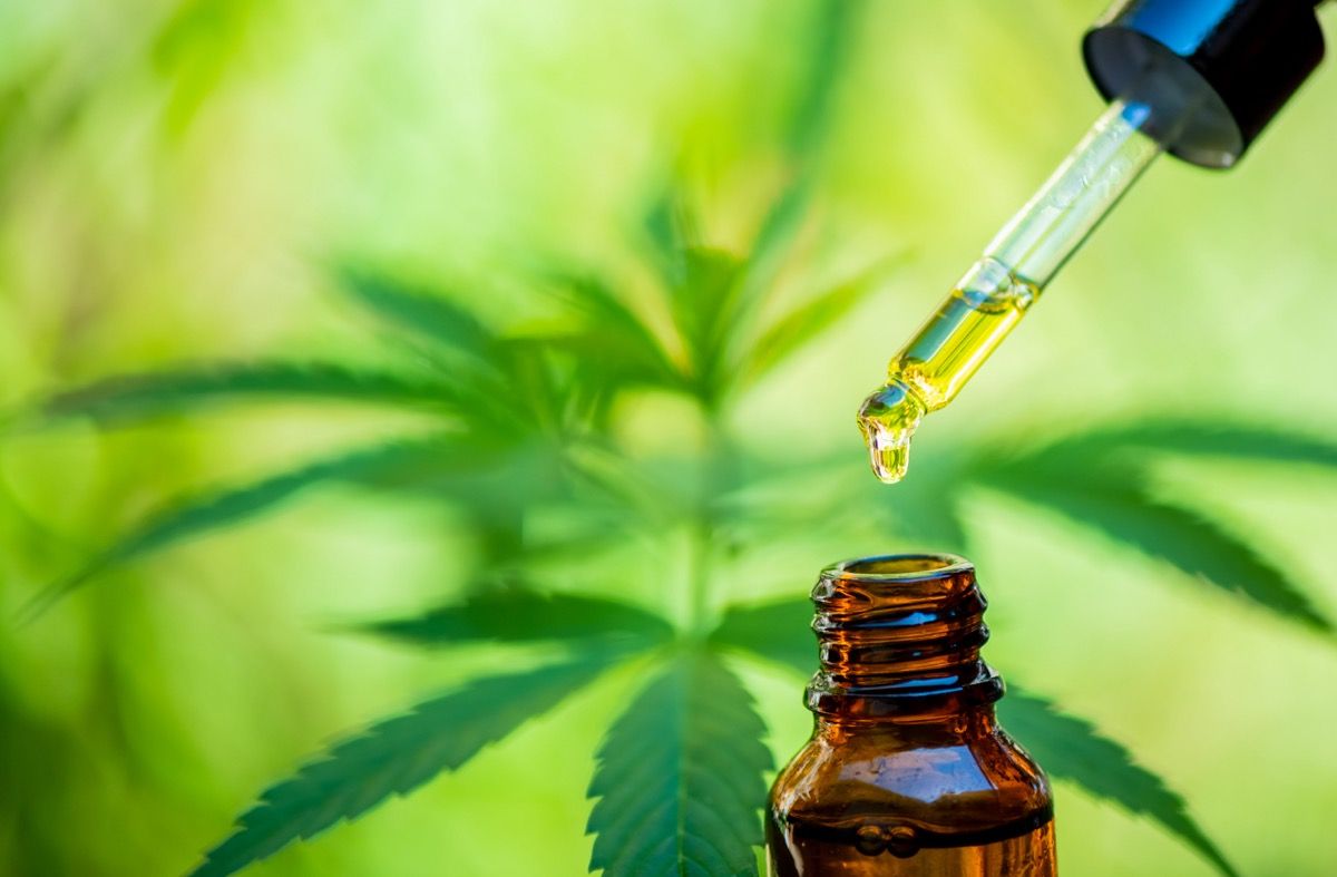 Study Reveals Placebo Effect in CBD Oil's Impact on Stress Reduction