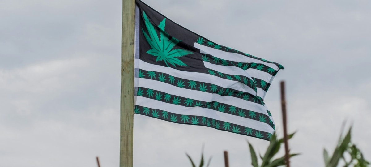 California's Cannabis Industry Faces Crisis Amidst Regulatory and Tax Burdens