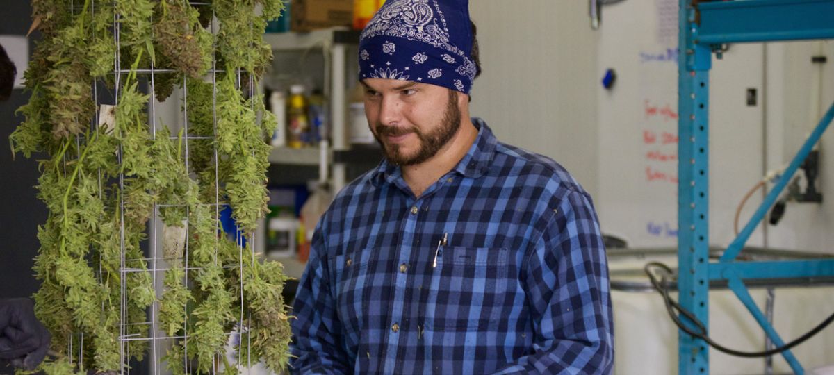 Veteran's Journey: From Battlefield to Cannabis Advocacy