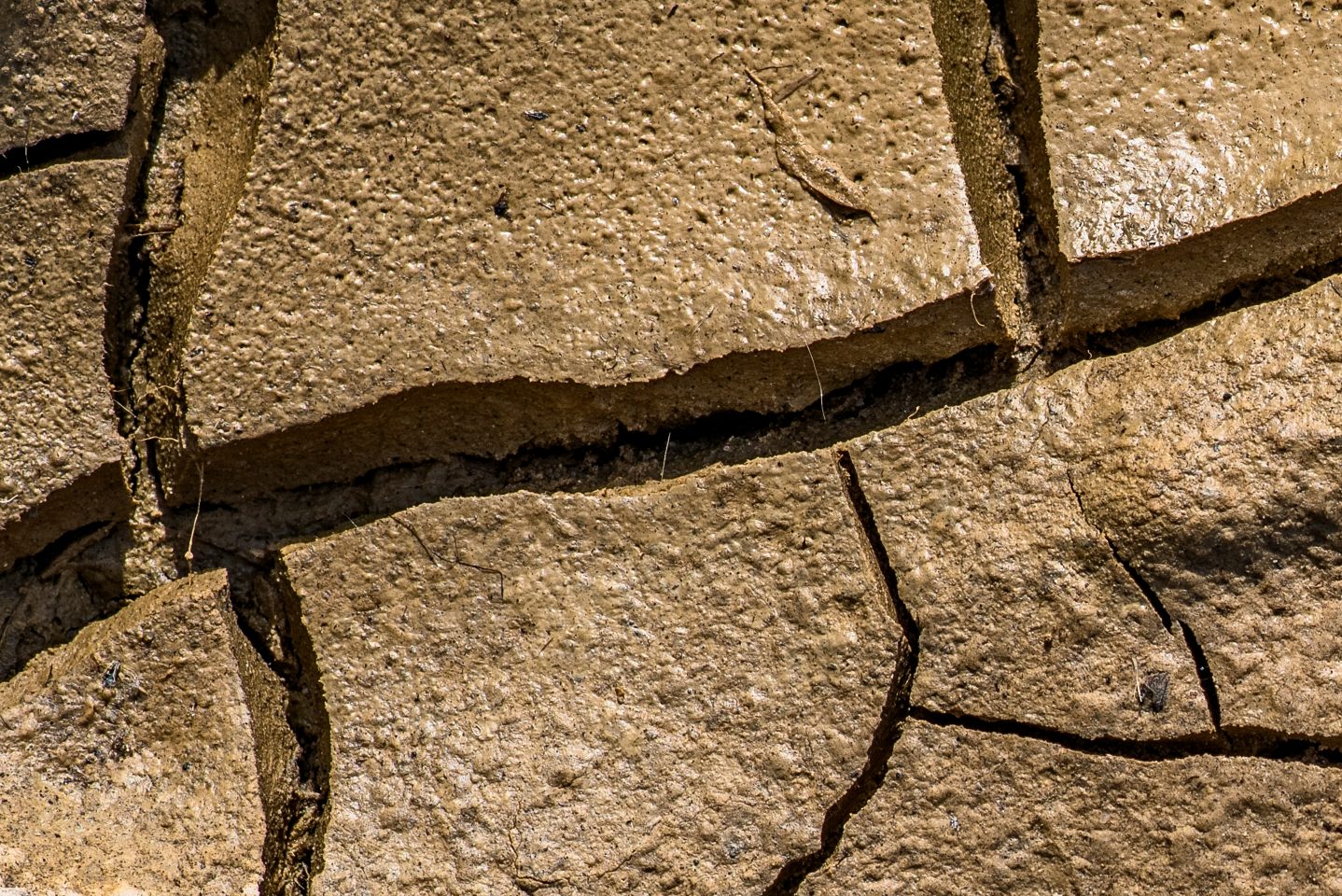 Los Angeles Aims to Revitalize Struggling Cannabis Market Amidst Regulatory Challenges