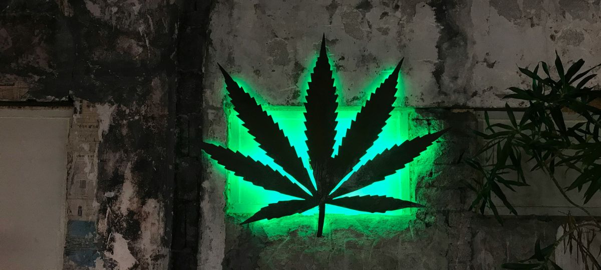 Operation Green Merchant's Legacy: A Turning Point in the U.S. Cannabis War