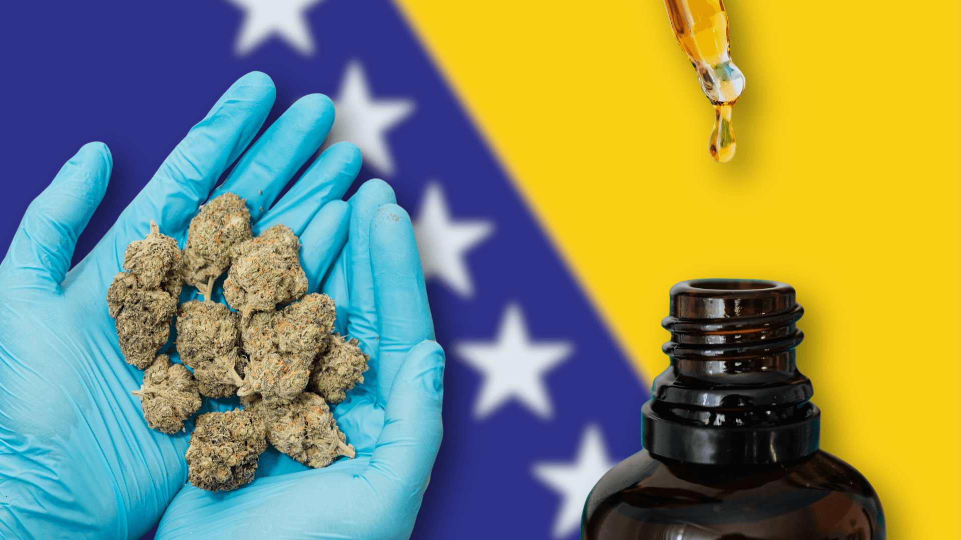 Bosnia and Herzegovina Legalizes Medical Cannabis, Paving Way for Regulated Use
