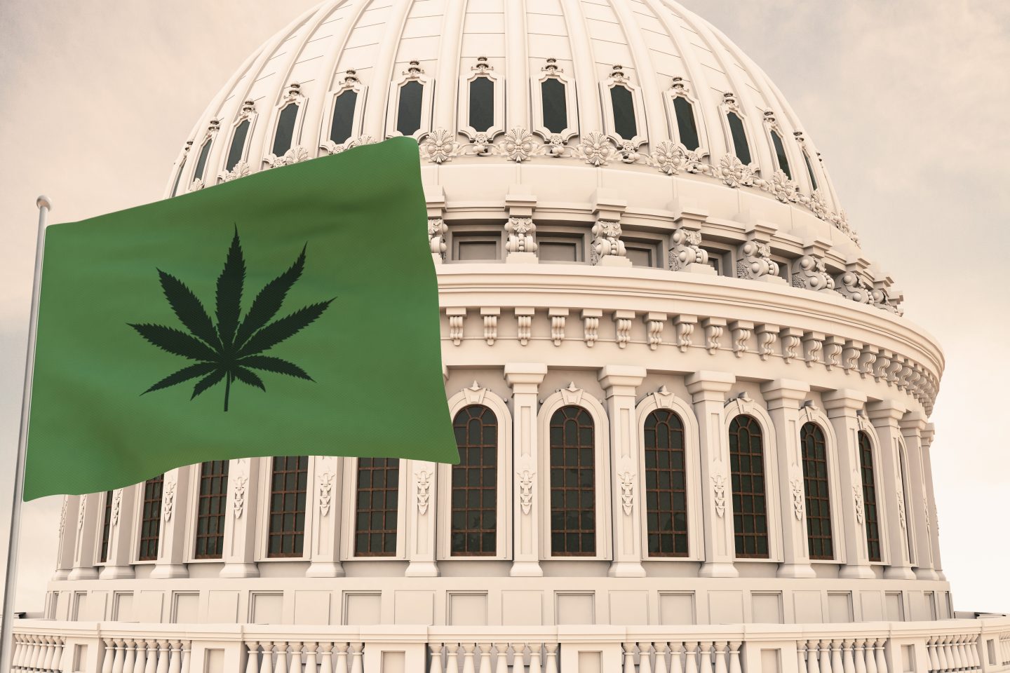 New Senate Bill Proposes Regulatory Framework for Hemp Industry