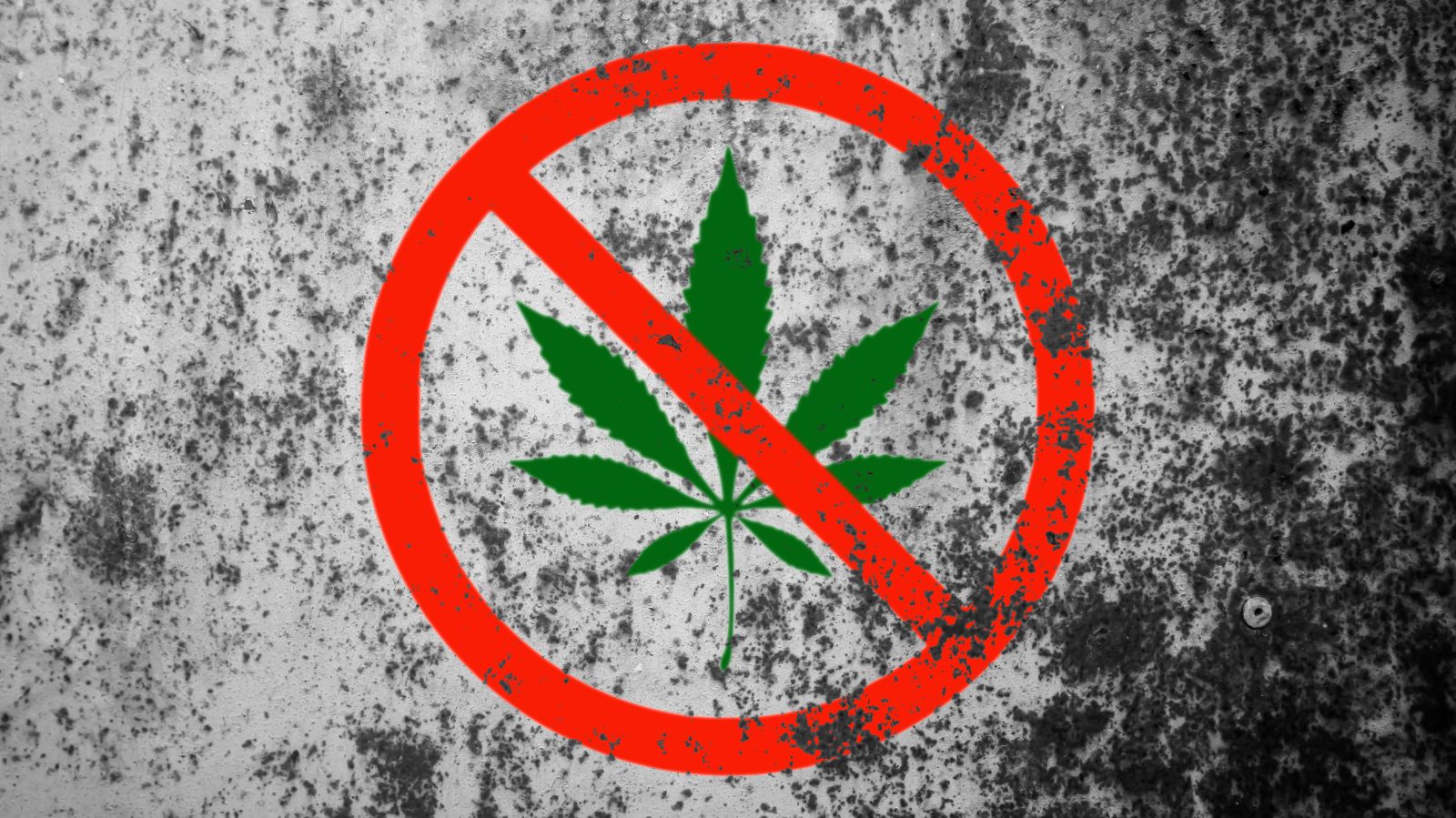 Federal Hemp Ban Faces Enforcement Challenges Ahead of 2026 Implementation