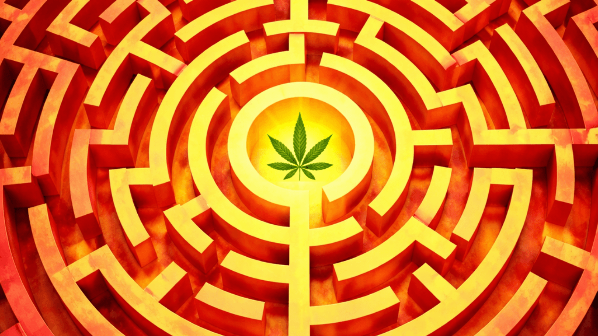 Spain's New Cannabis Regulations for Medical Use Face Criticism for Restrictions