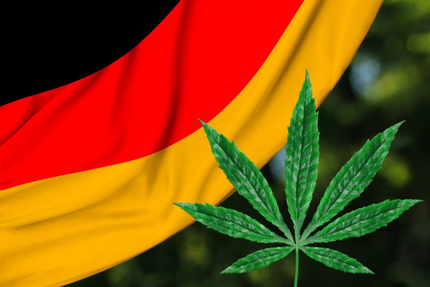 Aumento delle prescrizioni di cannabis medica in Germania mentre i prezzi scendono