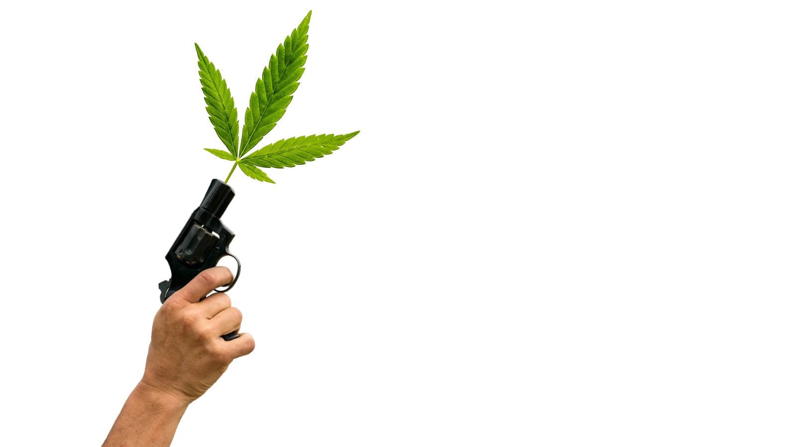 ATF Revises Rule to Limit Firearm Denials for Marijuana Users