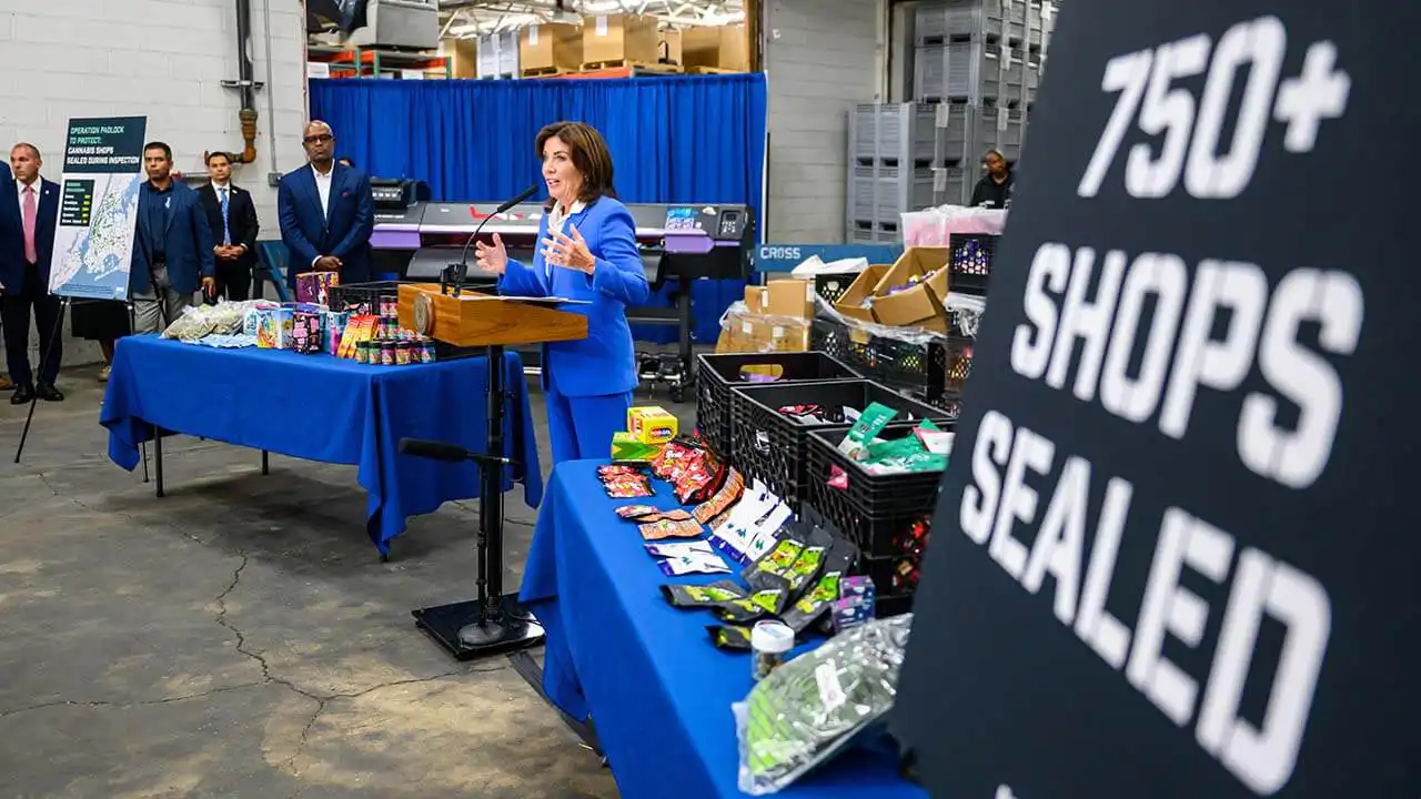 New York Cannabis Giants Sue State Over Inadequate Regulation and Illicit Market Invasion