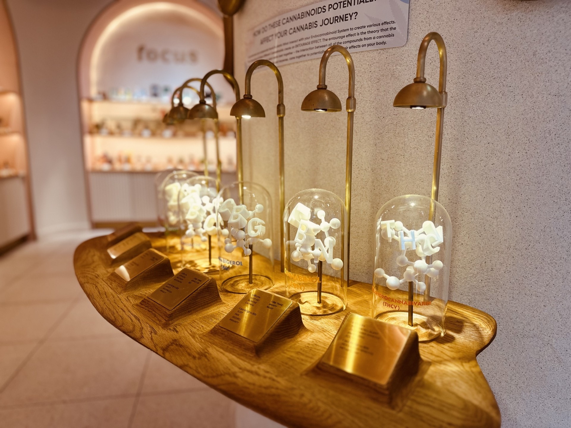 Functional THC: Shifting the Cannabis Industry Focus from Potency to Purpose