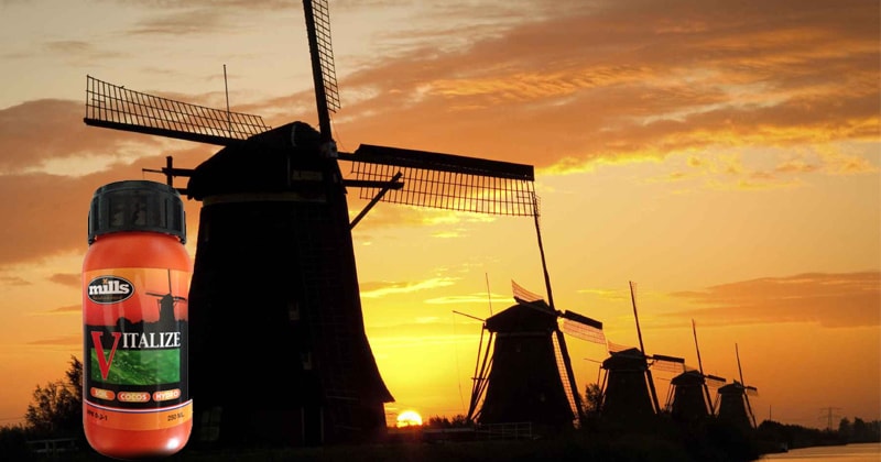 Mills Nutrients Introduces Vitalize, a Competitive Organic Cannabis Fertilizer