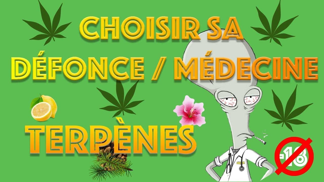 Dr GreenRoger Educates French Audience on Cannabis Terpenes