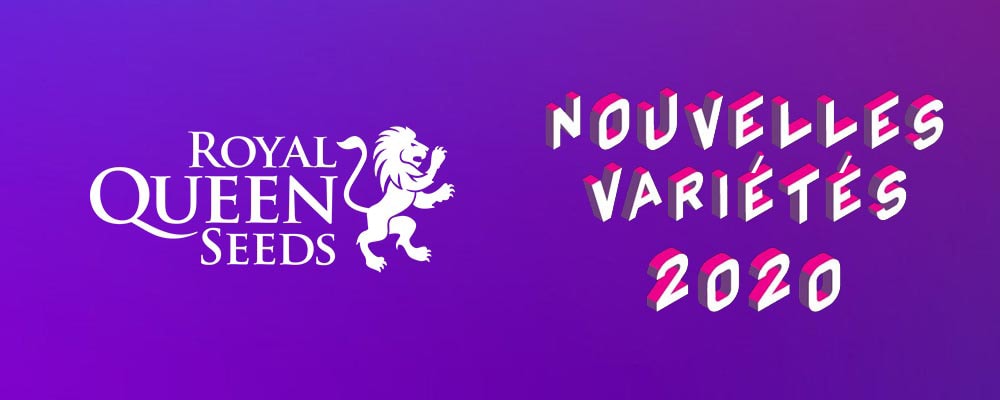 Royal Queen Seeds Introduces Extensive New Cannabis Strain Collection for 2020